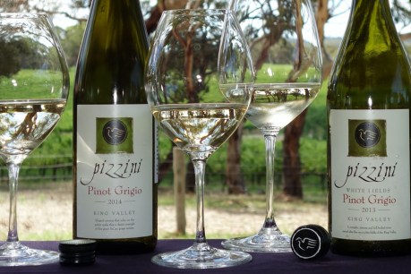 The yin and yang of Pinot Grigio
