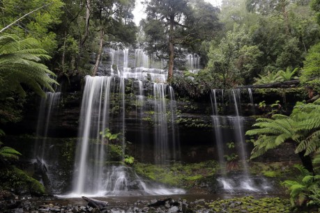 Could tourism help Tasmania’s wilderness?
