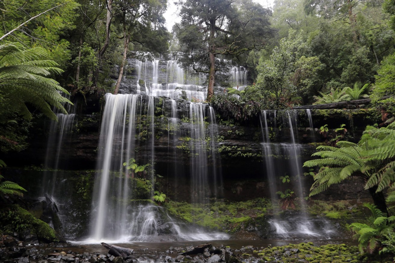 A waterfall in World Heritage forest in Mt Field National Park, Tasmania. Photo: EPA