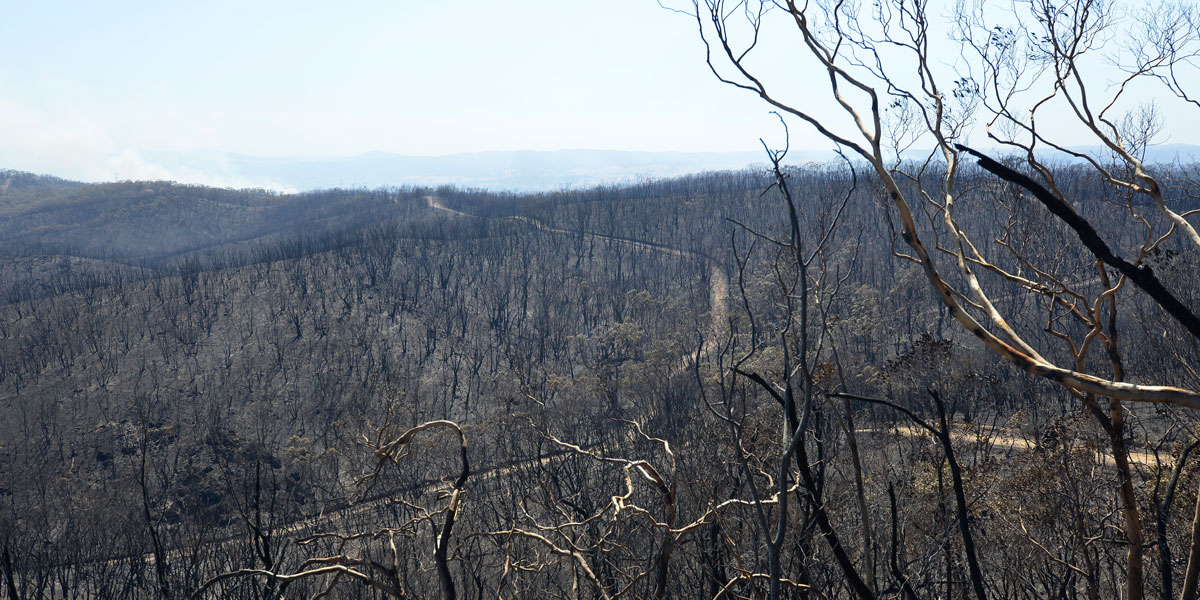 Burnt out land near Kersbrook.