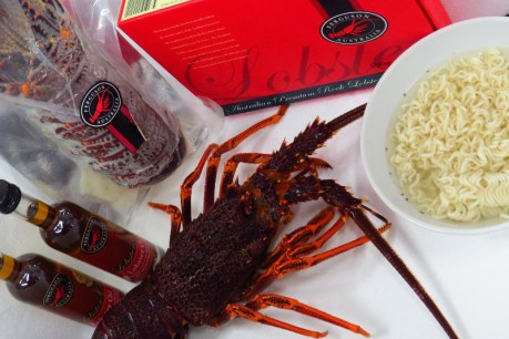 SA lobsters on ice in China trade dispute