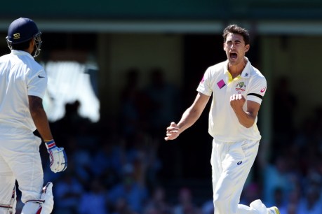 Starc losing hope of T20 World Cup return