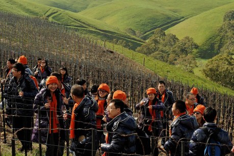 Australian wine exports on the rise