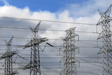 Expert panel pans SA Power Networks’ pricing