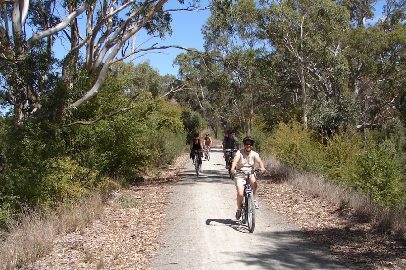 The Clare Valley Riesling Trail. Photo: AAP