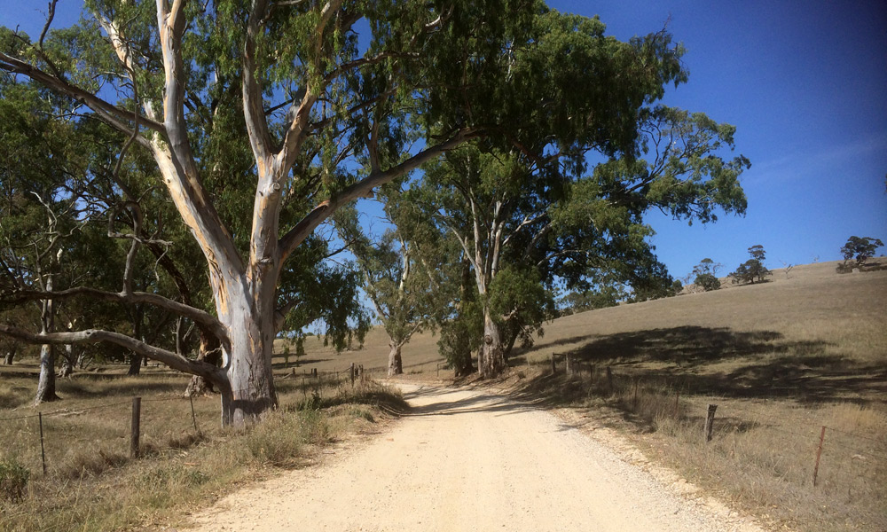 The road less travelled. Photo: Julie Barry