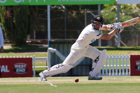 WA bats Redbacks out of the game