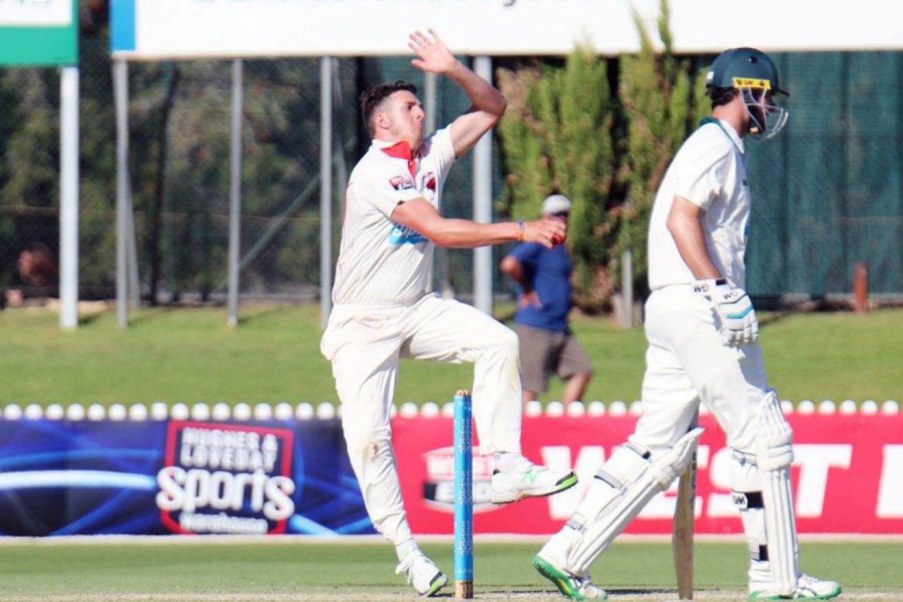 Redbacks bowler Dan Worrall contributed important runs. Photo: Peter Argent/InDaily