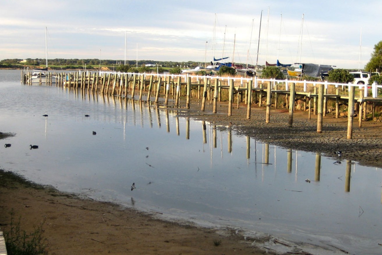 The Murray River at Goolwa at the height of the drought in 2008. 