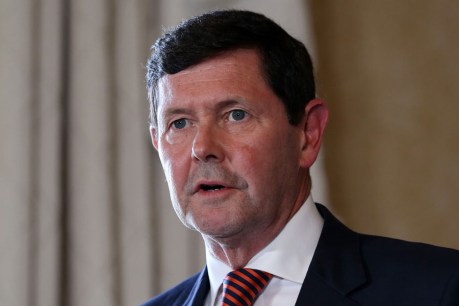Kevin Andrews “prepared” to take on Turnbull