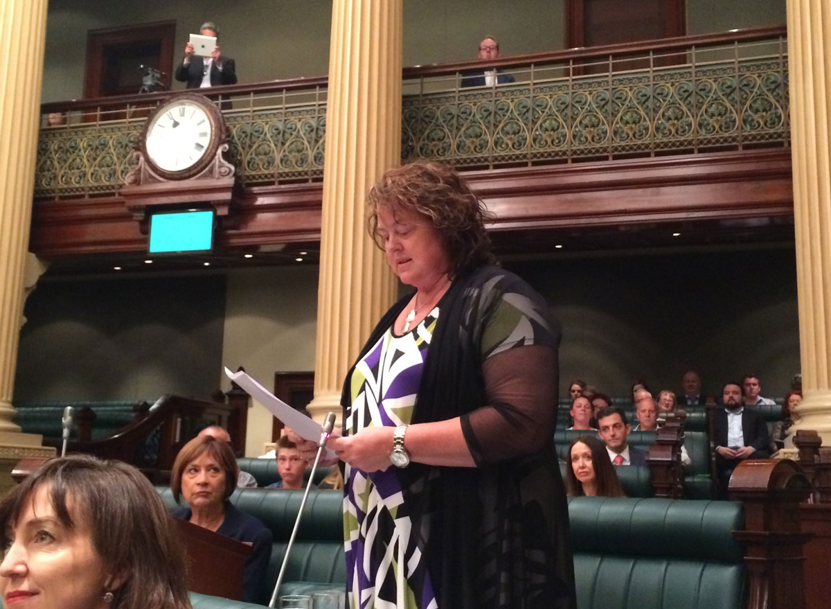 Nat Cook during her maiden speech, as captured by Transport Minister Stephen Mullighan.