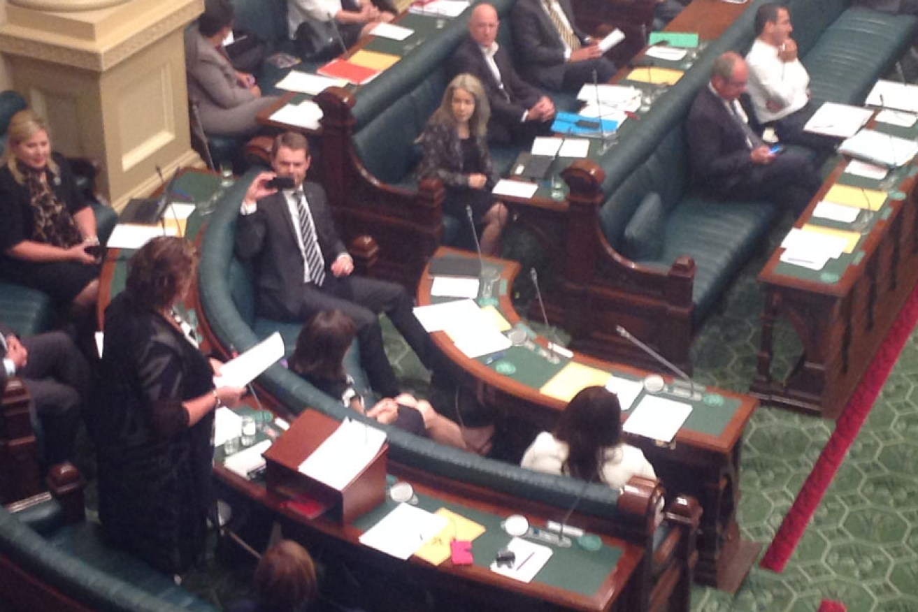 Nat Cook delivering her maiden speech, with Transport Minister Stephen Mullighan capturing the moment.