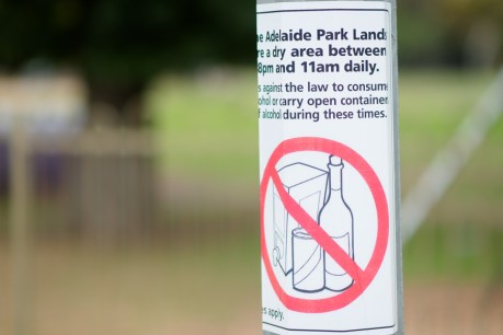 Council declares parklands “nightmare for city residents” solved