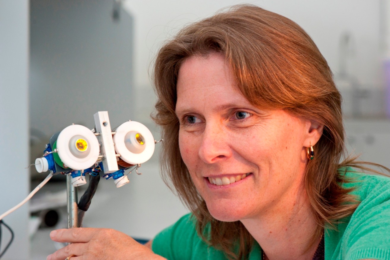 Professor Karen Reynolds, Director of Flinders University's Medical Device Research Institute. 