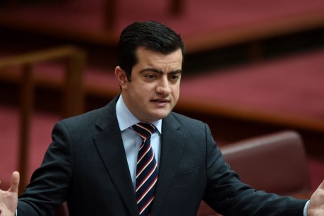 Leaders – with one exception – condemn racist abuse of senator