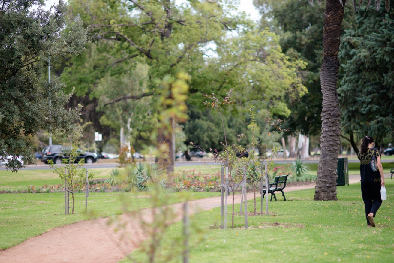 The parklands are not enough: we need a change of mindset to truly 'green' Adelaide. Photo: Nat Rogers/InDaily