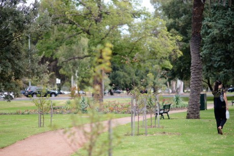 A greener Adelaide needs more than parklands