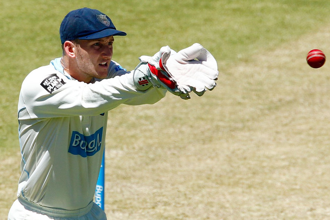 Peter Nevill had an excellent Shield season with gloves and bat.