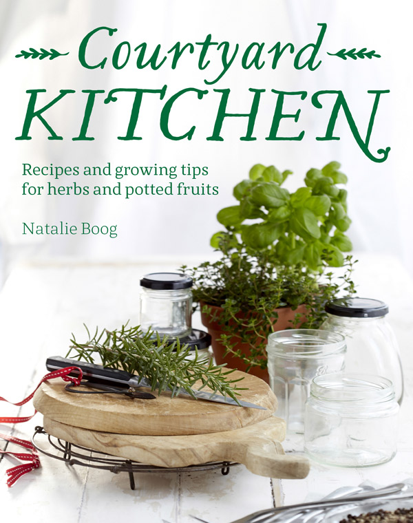 Recipes and Images from Courtyard Kitchen by Natalig Boog, published by Murdoch Books, $39.99