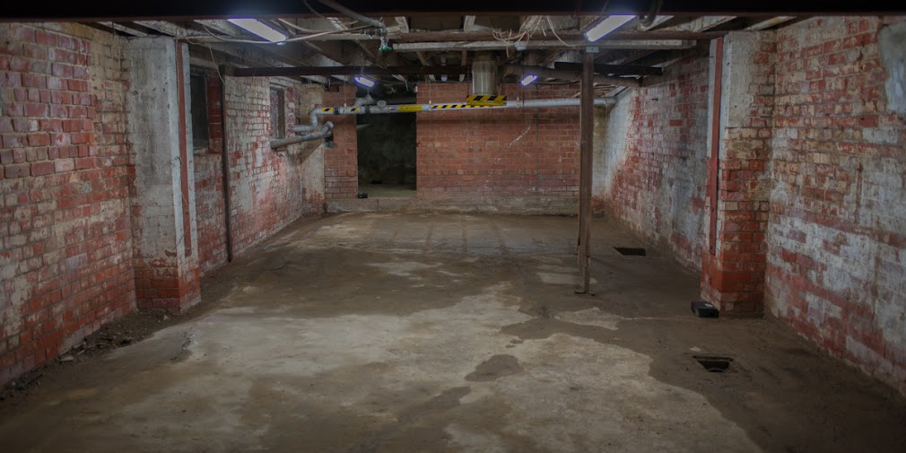 The cellars will need significant renovation to make occupancy a reality. Photo: Nat Rogers/InDaily