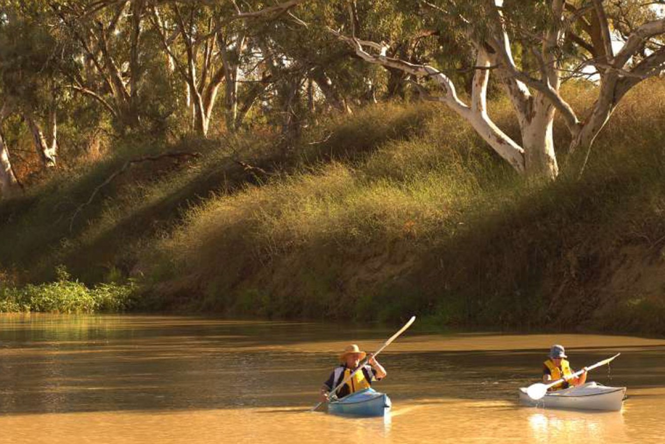 Tourists kayaking on Cooper Creek in Innamincka Regional Reserve. 