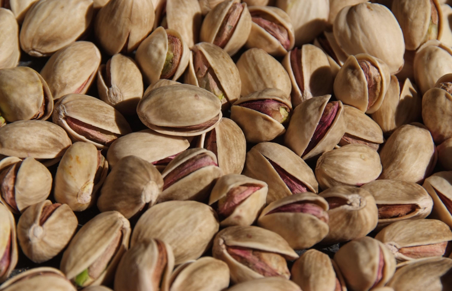 Pistachios - The Food Forest resized