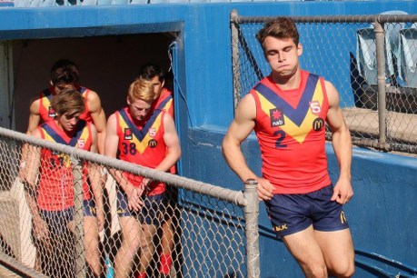 Rookie draft: Crows take mature-aged local