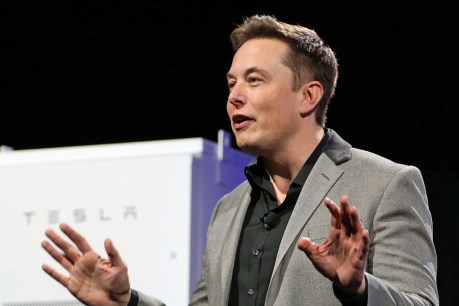 Has Tesla’s Elon Musk landed in SA?