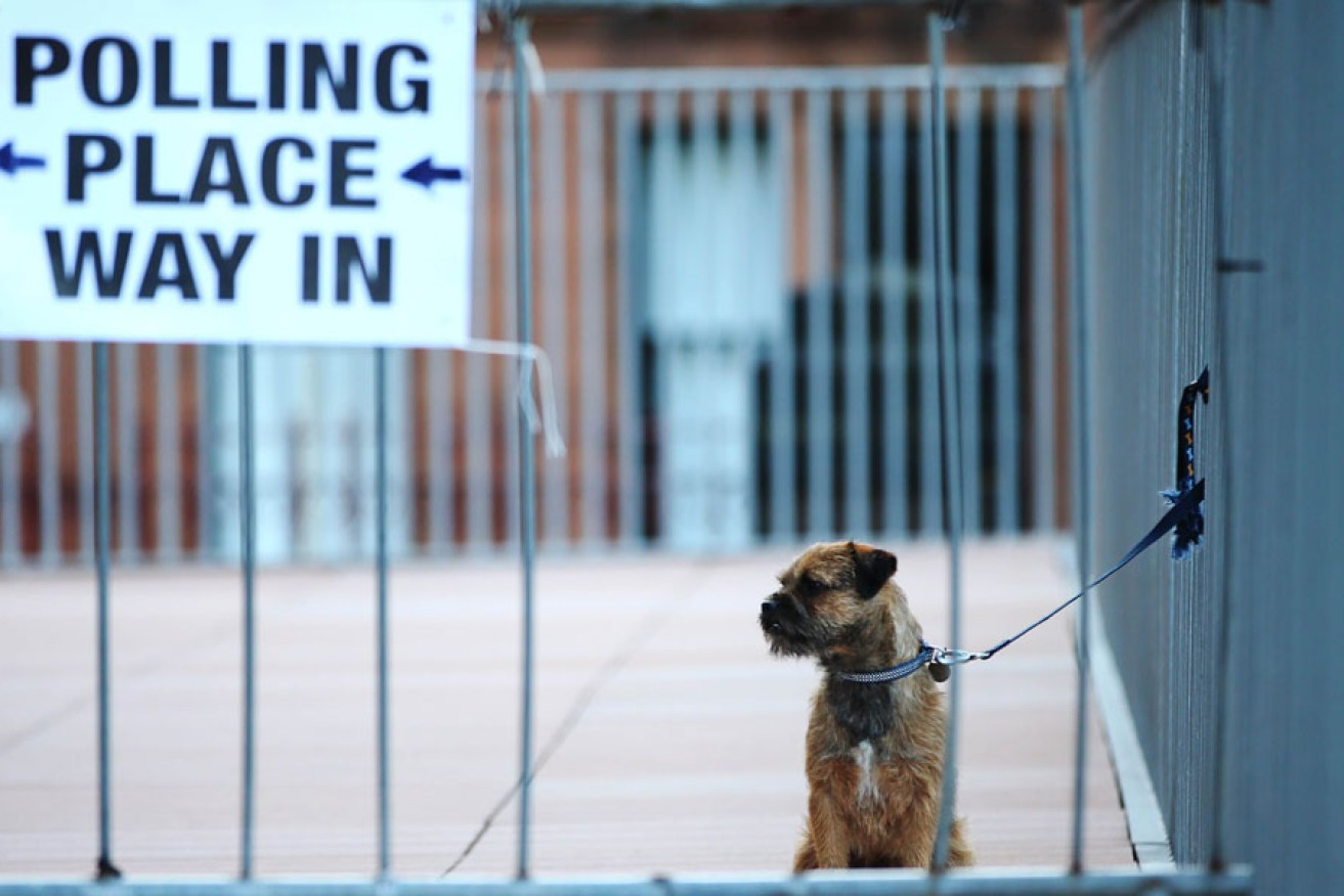 A dog waits outside a polling station in Glasgow.