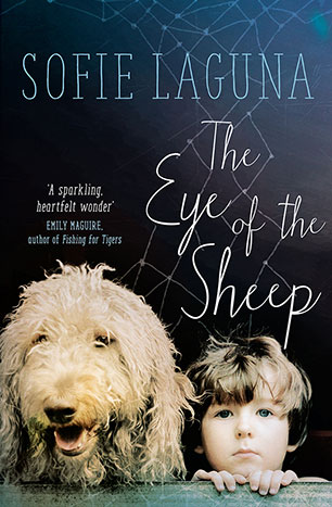 Eye of the Sheep