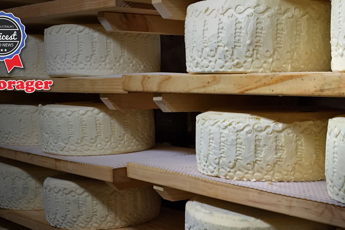 New Adelaide Hills cheese from Section 28. Photo: supplied 