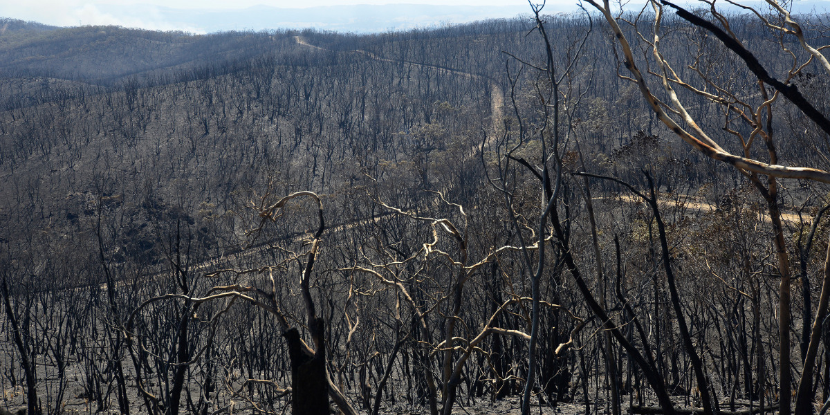 Burnt out areas in Kersbrook after the Sampson Flat bushfire. Photo: AAP/David Mariuz.