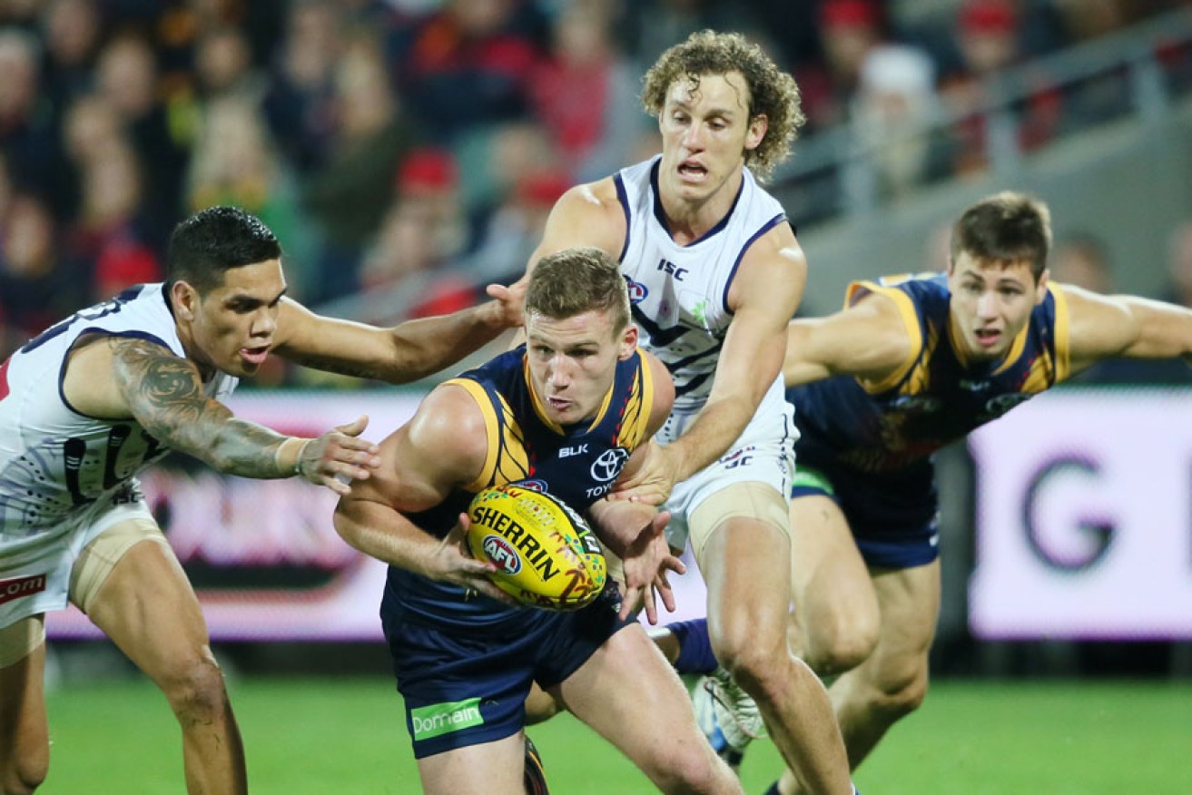 Rory Laird beats two Dockers to the ball at Adelaide Oval. 