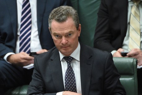 Pyne to discuss Holden takeover bid