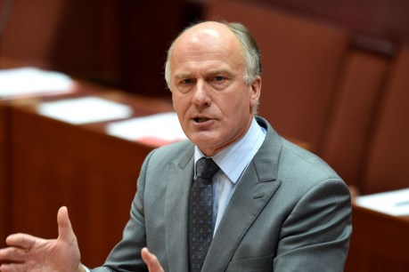 Liberal senator accused of ‘slut-shaming’ alleged Parliament House rape victim