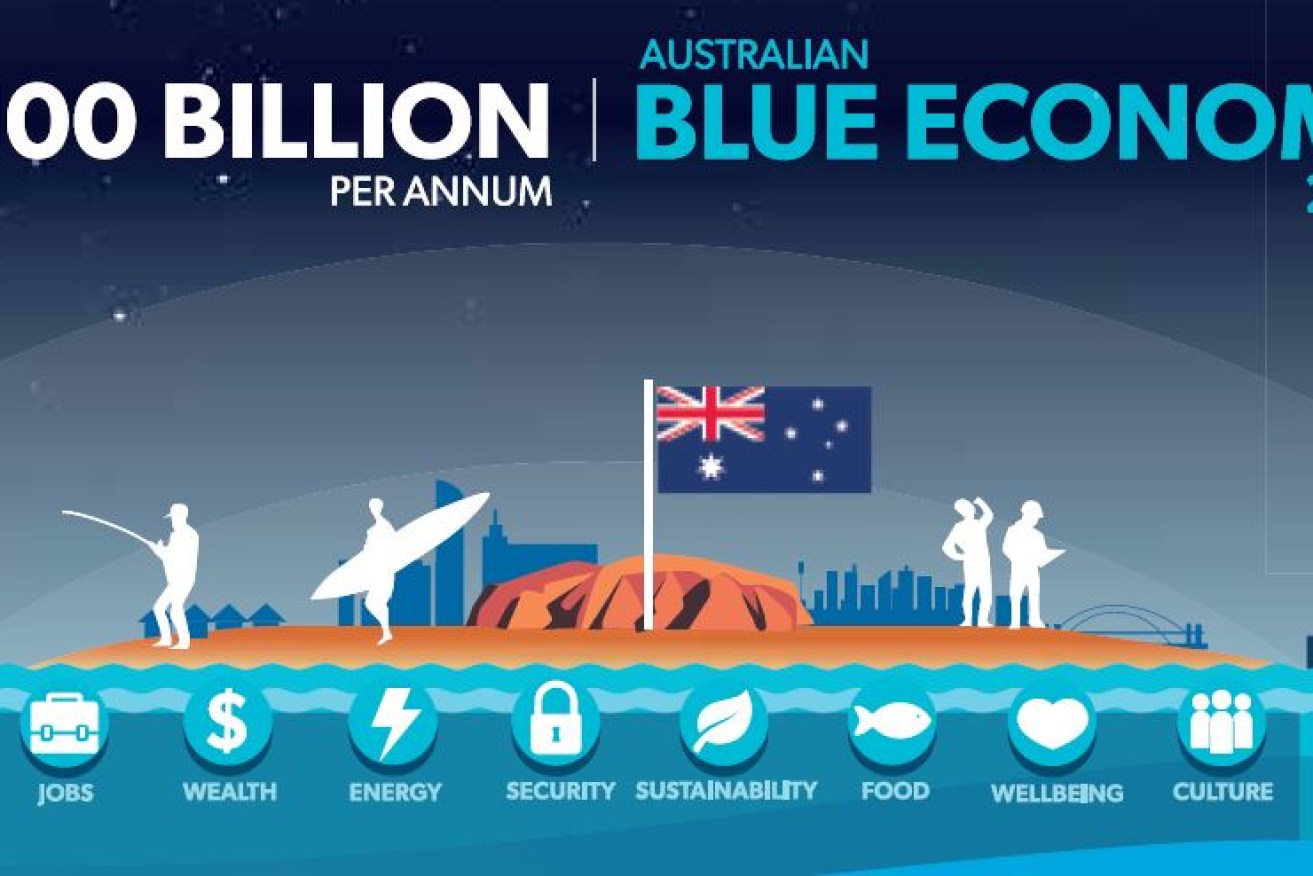 The National Marine Sciences Plan 2015-25 was developed in response to the 2013 position paper Marine Nation 2025: Marine Science to Support Australia’s Blue Economy.