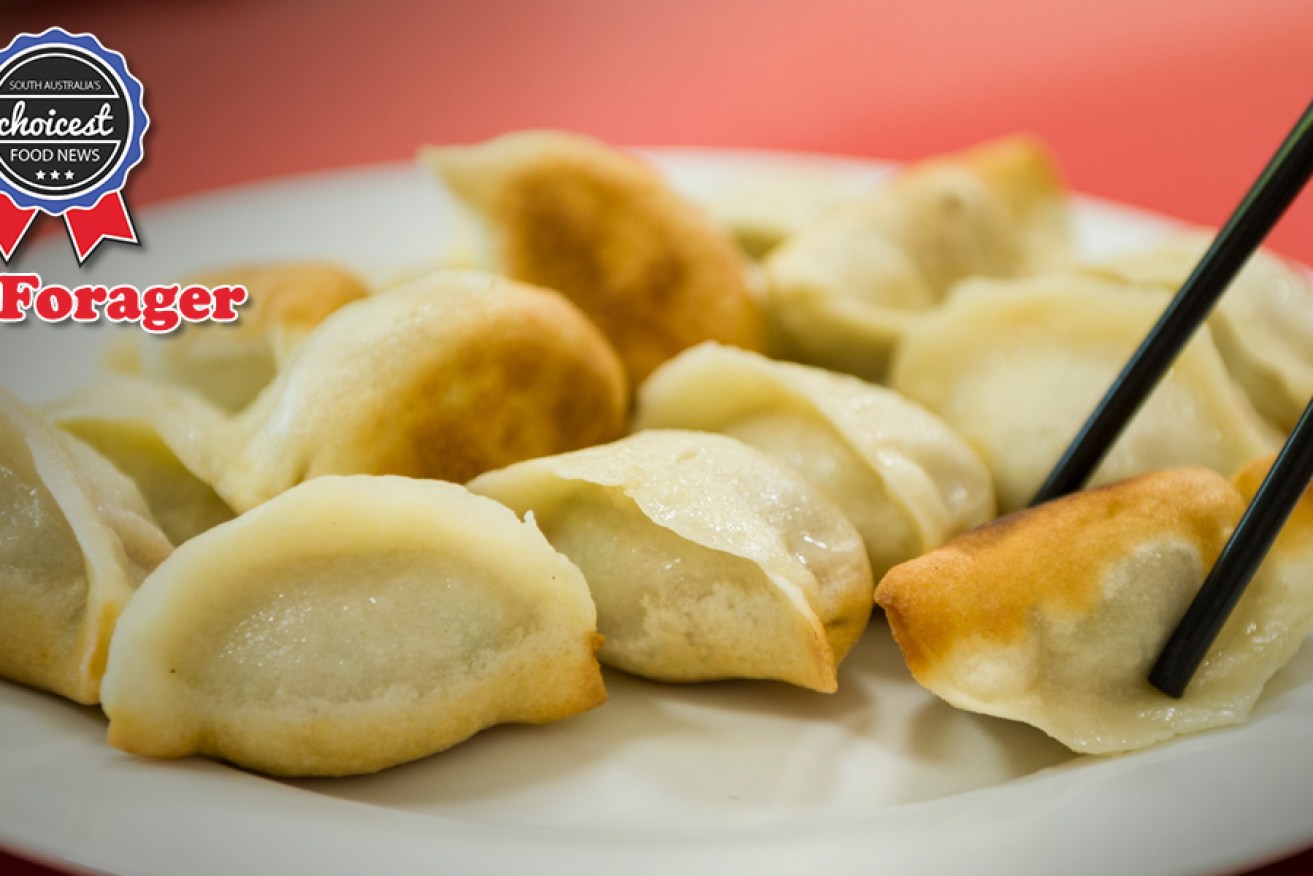 Fried Peking pork dumplings on Feast on Foot's dumpling tour. Photo: Captured In Time Photography