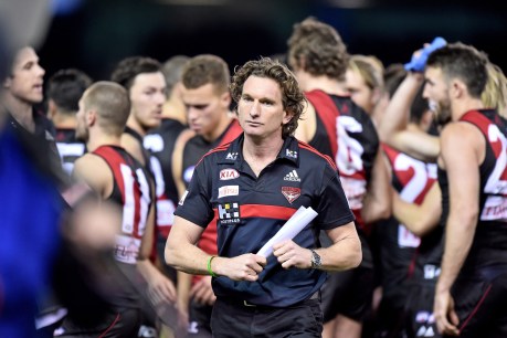 Hird slams “miscarriage of justice”