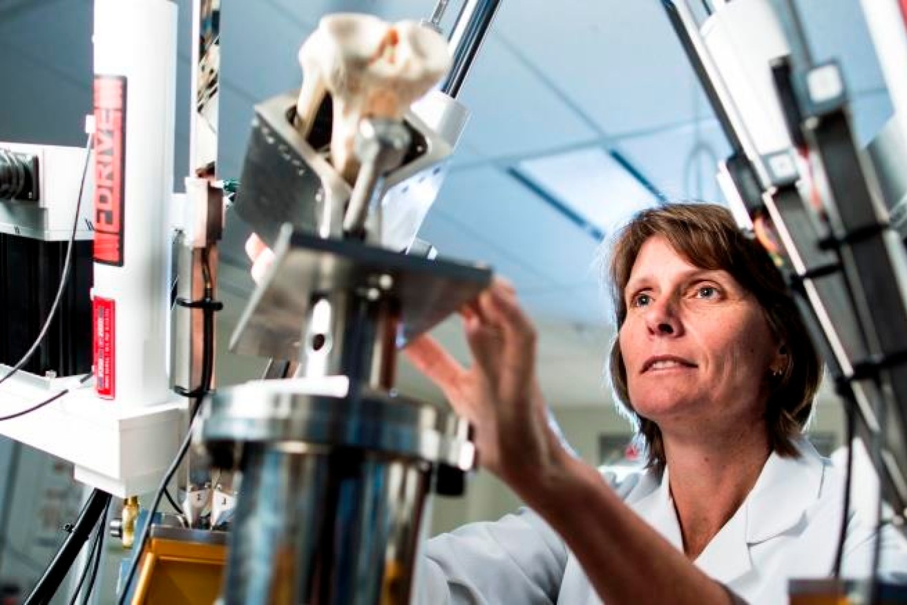 Matthew Flinders Distinguished Professor of Biomedical Engineering , Karen Reynolds, will be a "Thought Leader" on a South-East Asian trade delegation next week. 