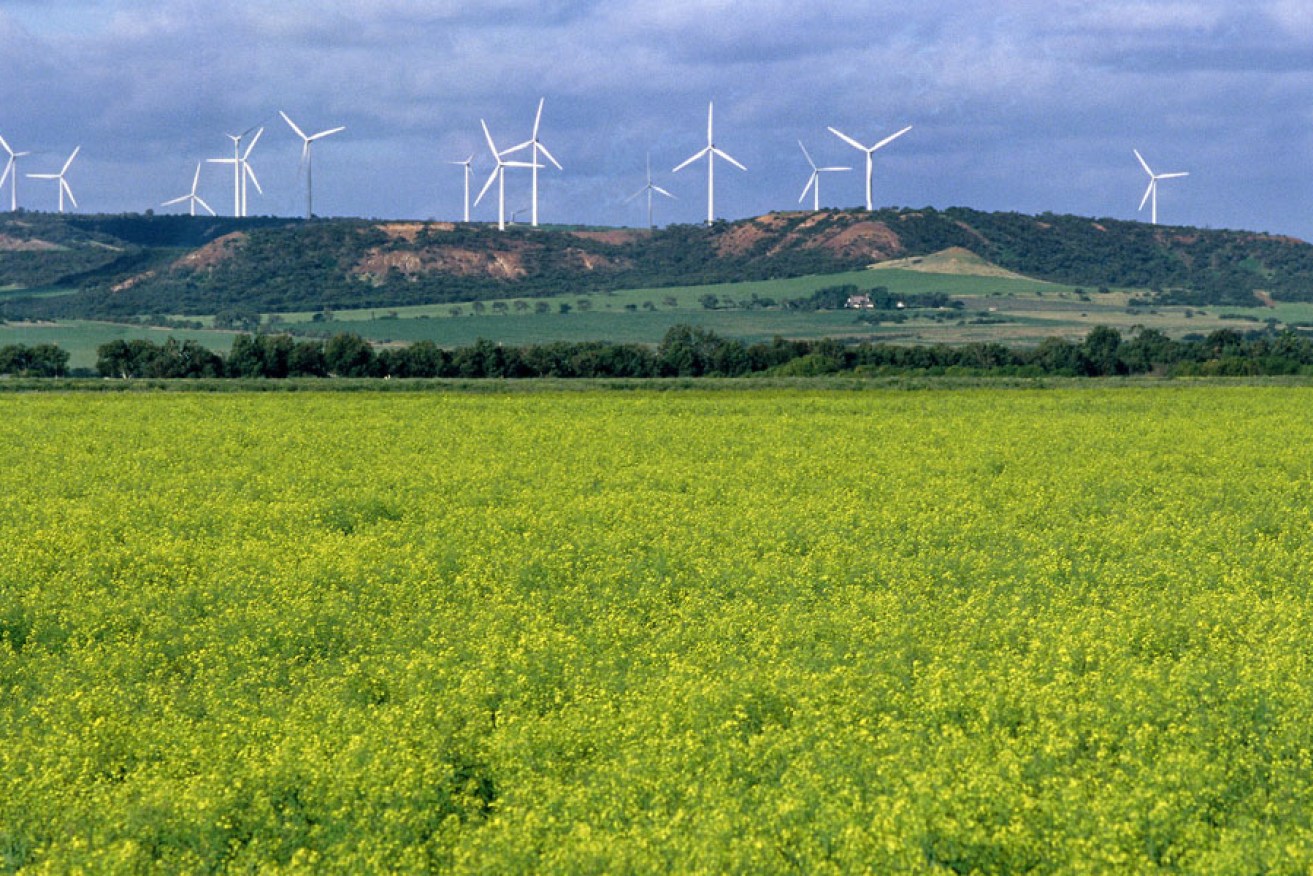 SA is a leader in renewable energy. Photo: Supplied