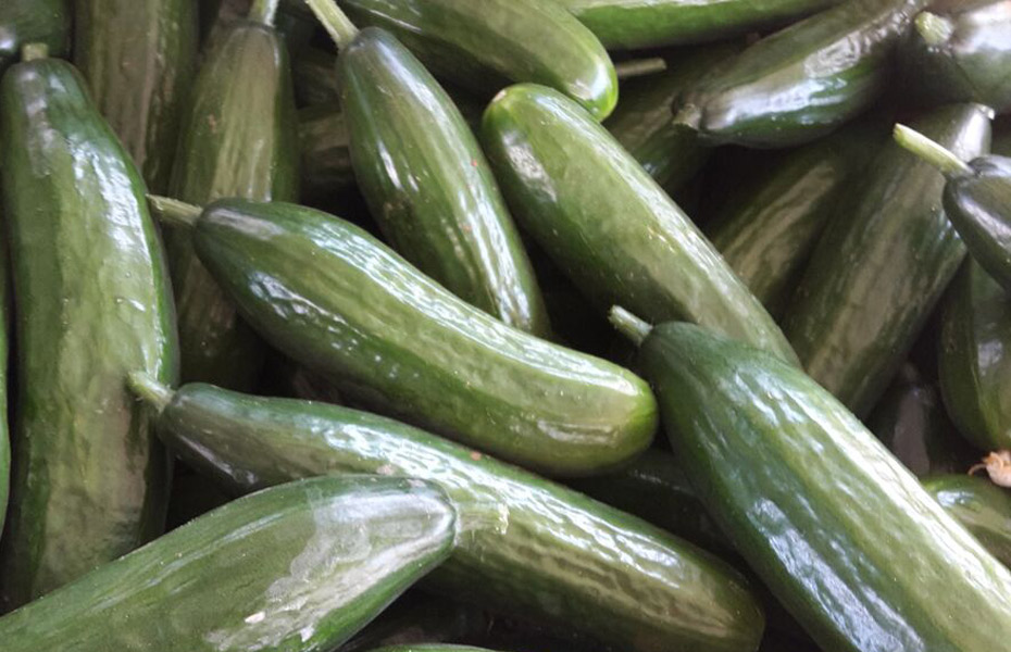 Lebanese-Cucumbers-resized