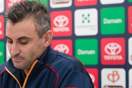 Confident Crows “need success”, says Campo