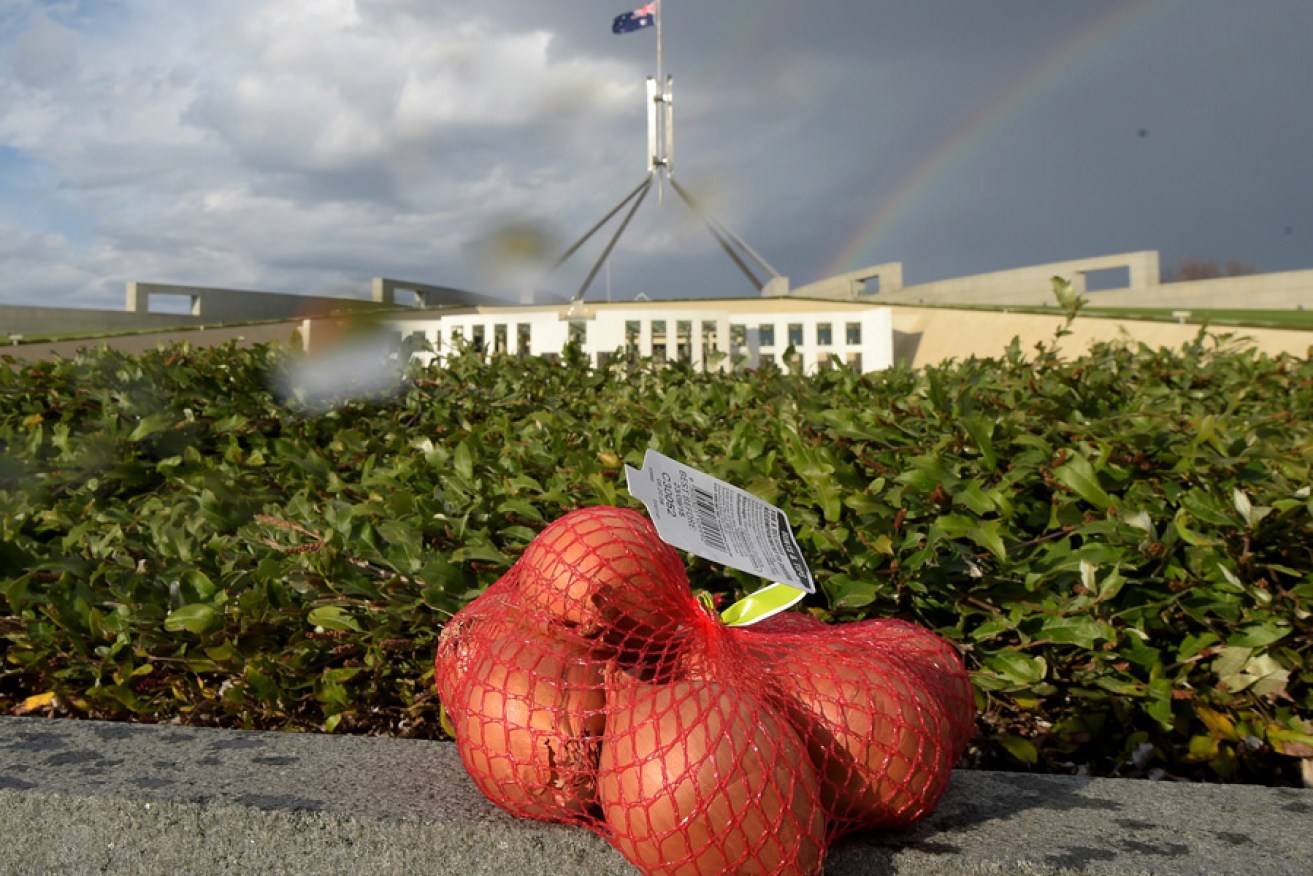 A bag of onions is placed outside Parliament House in Canberra this morning. 