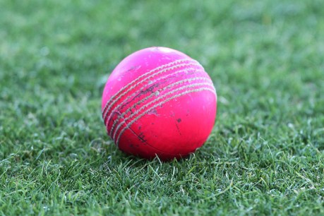 Pink ball makes cricket “boring”