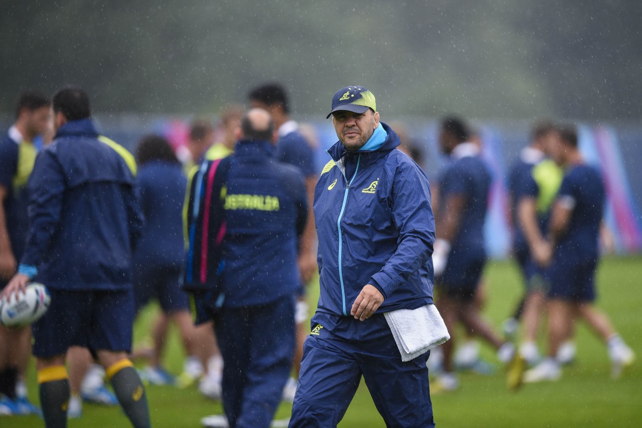 Michael Cheika attends a training session.
