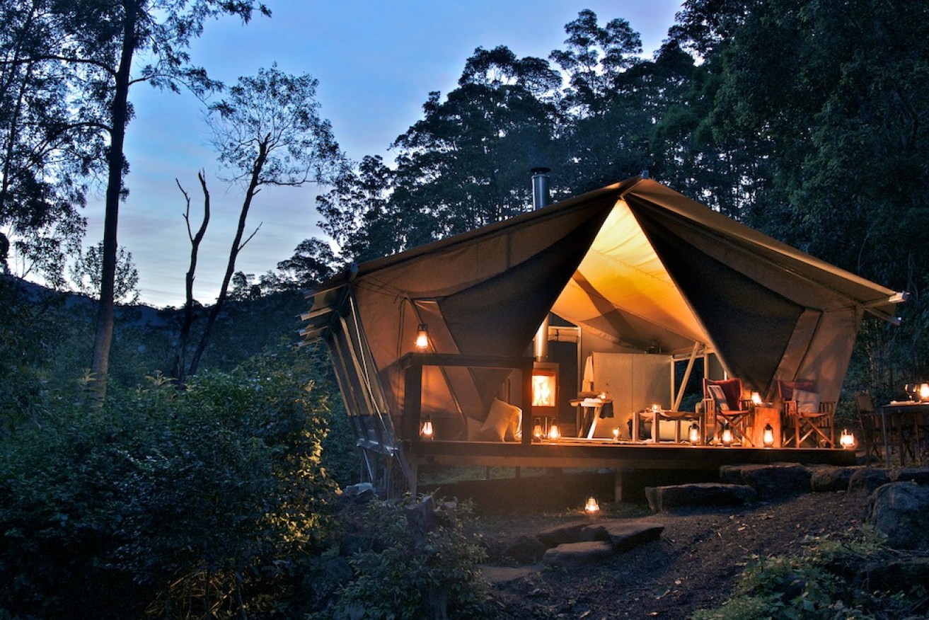 Nightfall camp in Queensland's Lamington National Park.