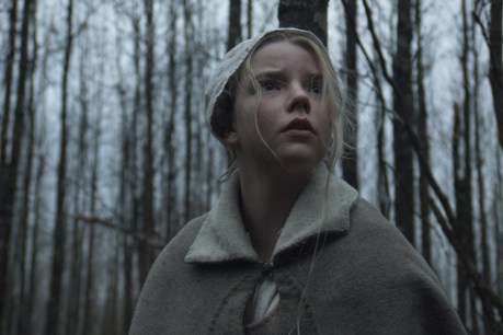 The Witch: there’s evil in the wood