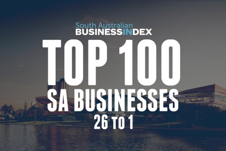 Business Index Top 100 reflects an economy in flux