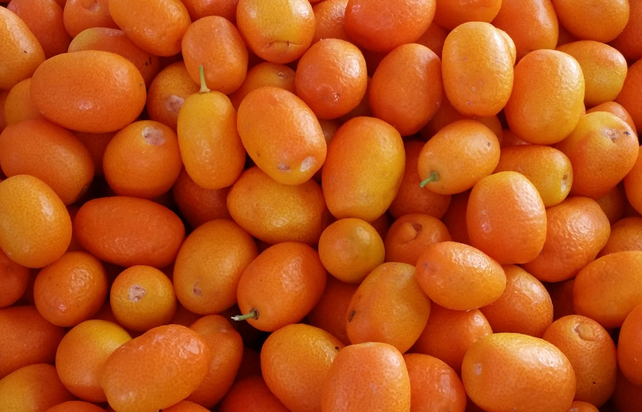 cumquats-resized