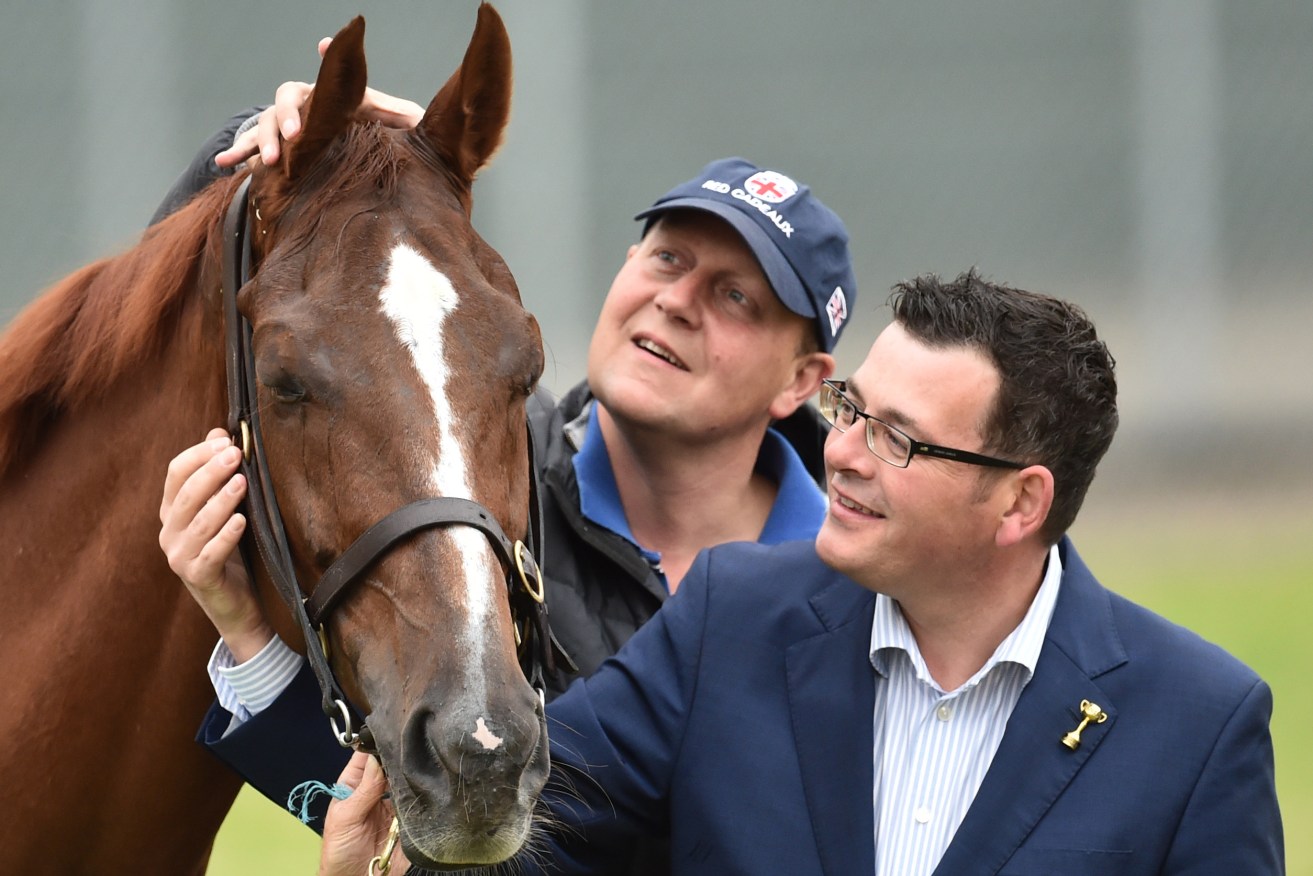 Victorian Premier Daniel Andrews has an eye for a photo op, getting to know sentimental Melbourne Cup favourite Red Cadeaux and trainer Ed Dunlop yesterday.